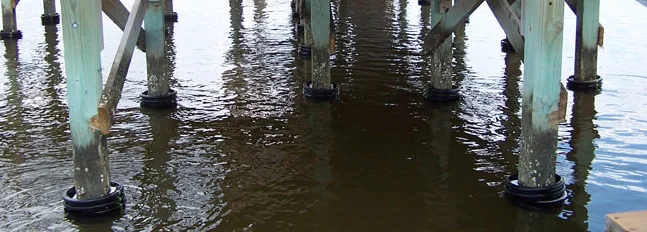 Pile Savers installed at the waterline on a row of dock pilings