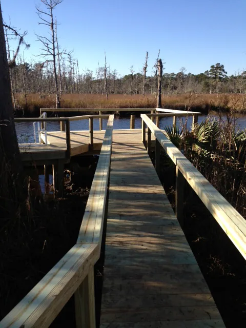 A railed boardwalk passing through wetland toward a dock on the water
